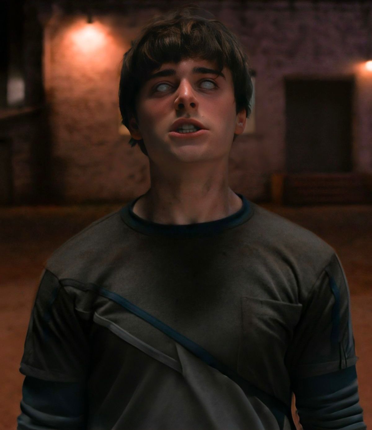 gay for fans | shailene woodley nude | kristen stewart nood | scarlett johansson naked