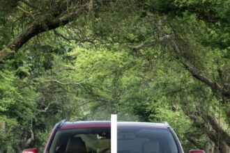 honda reliability vs toyota | so help me todd mystic river 49 more | bluey camp