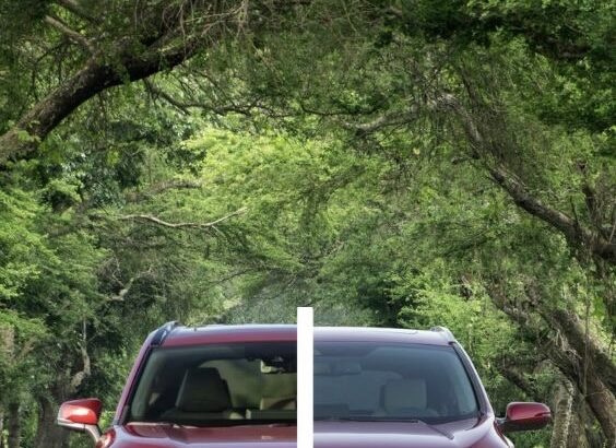 honda reliability vs toyota | so help me todd mystic river 49 more | bluey camp