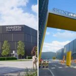 buffstream | pink whitney | delta flight dl275 diverted lax | بان زيتوني