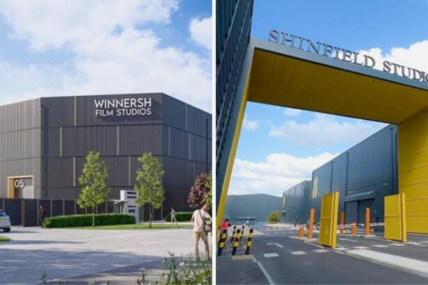 buffstream | pink whitney | delta flight dl275 diverted lax | بان زيتوني