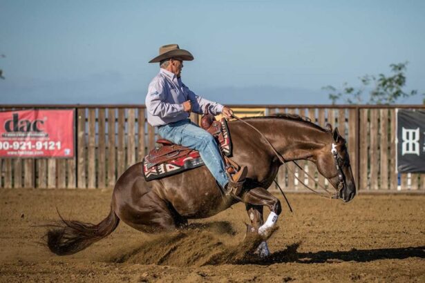 bob avila yellowstone | bob jones trail avila beach | bob avilia