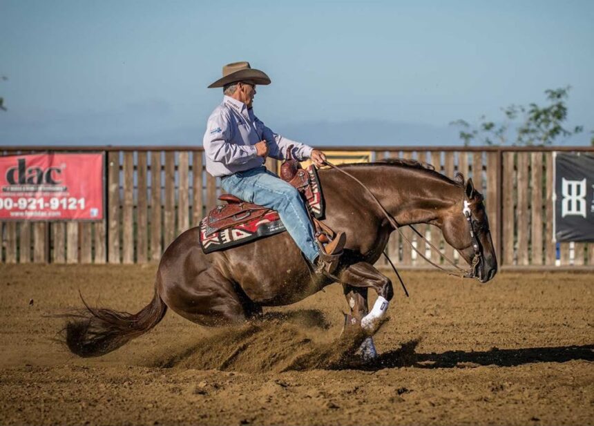 bob avila yellowstone | bob jones trail avila beach | bob avilia